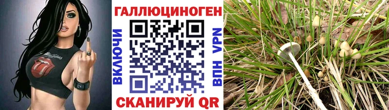 где найти наркотики  Неман  Галлюциногенные грибы мицелий 